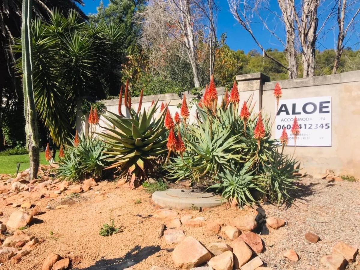 Aloe Guesthouse Klerksdorp Luaran gambar