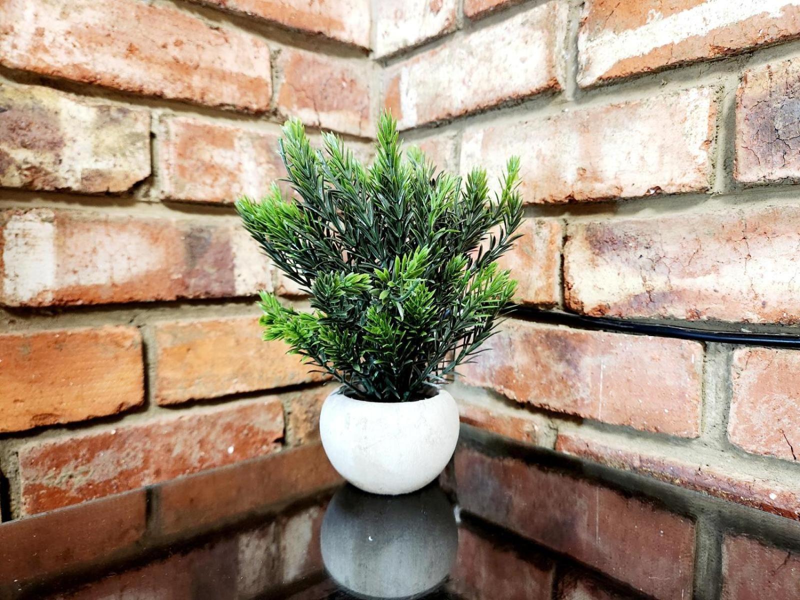 Aloe Guesthouse Klerksdorp Bilik gambar