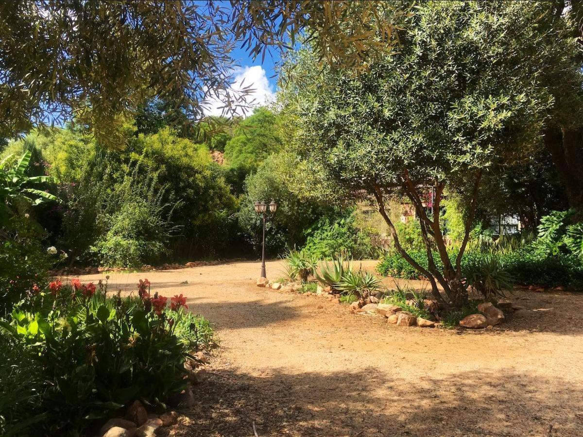 Aloe Guesthouse Klerksdorp Luaran gambar